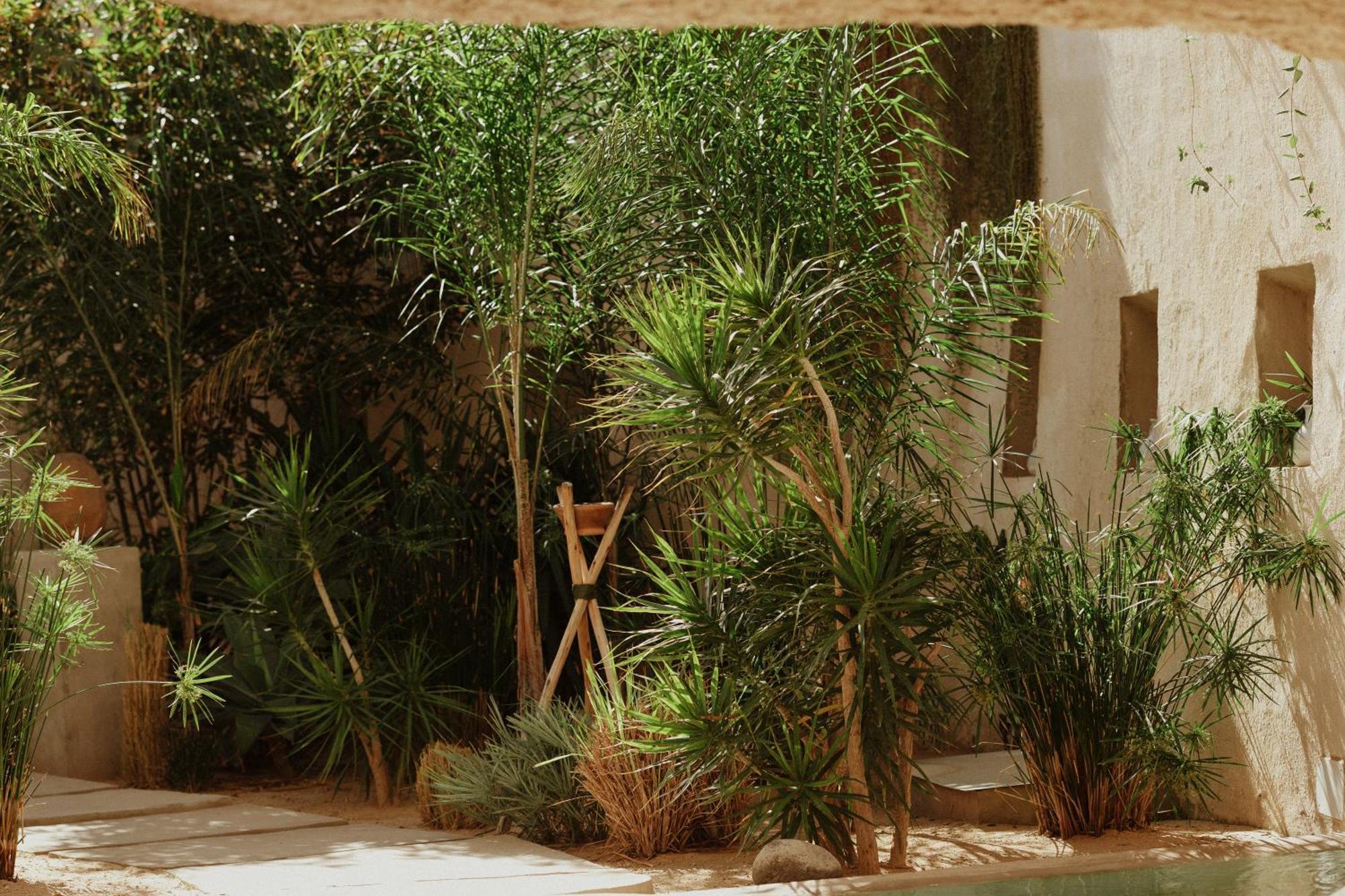 Ecohotel El Agua Arico el Nuevo Exterior foto